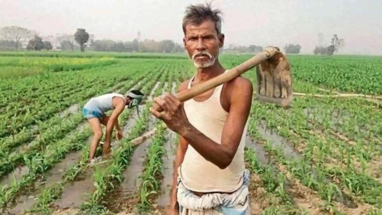 PM Kisan Scheme