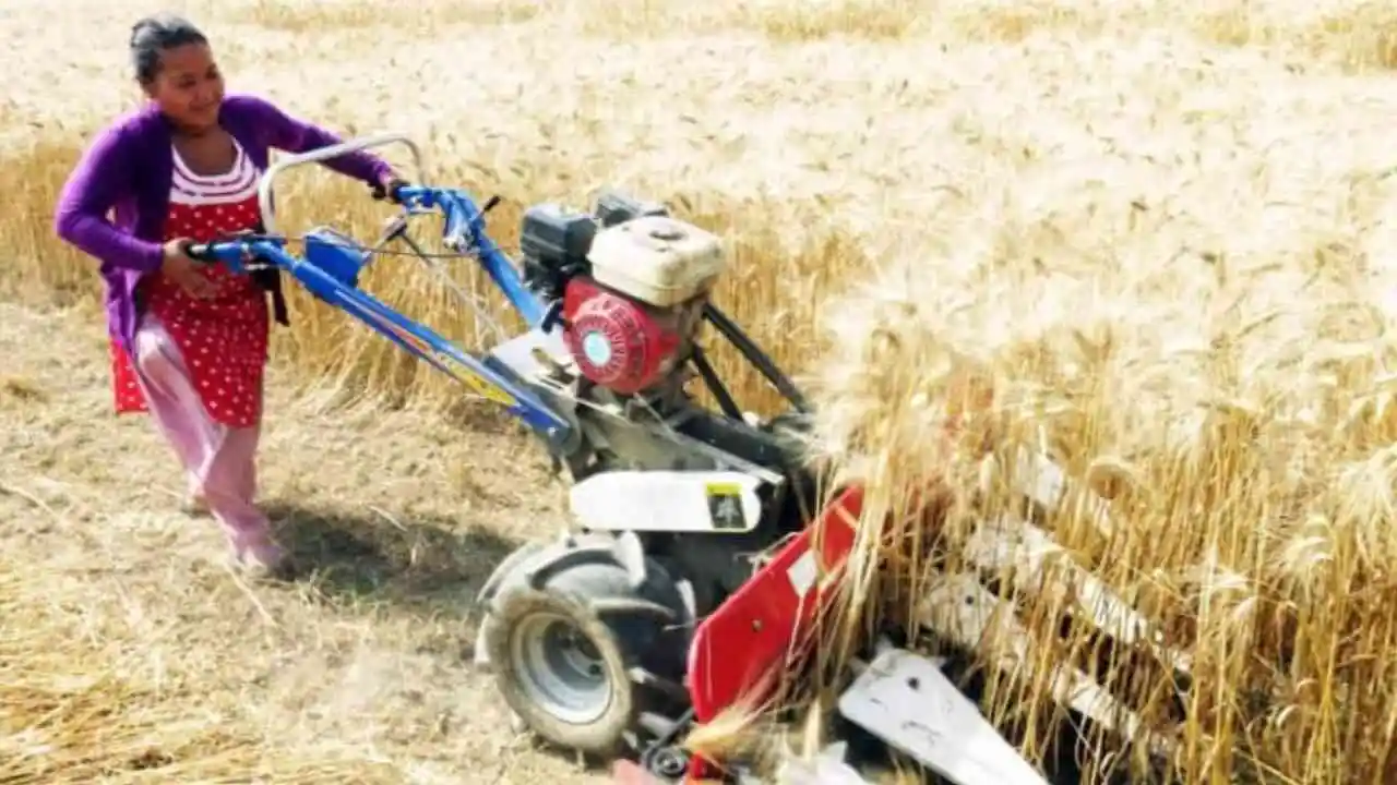 Top 5 wheat harvesting machine