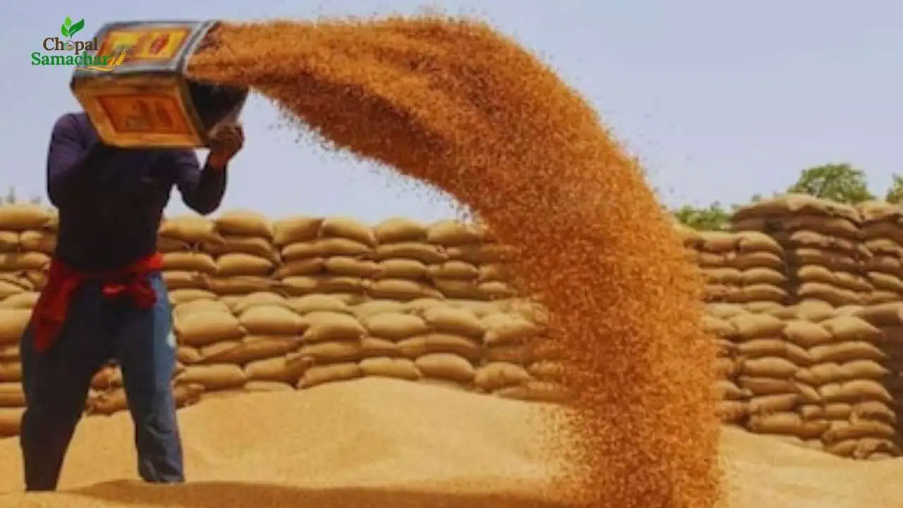 Wheat Purchase