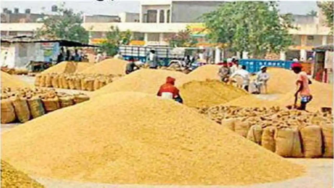 Wheat Purchase Helpline Number