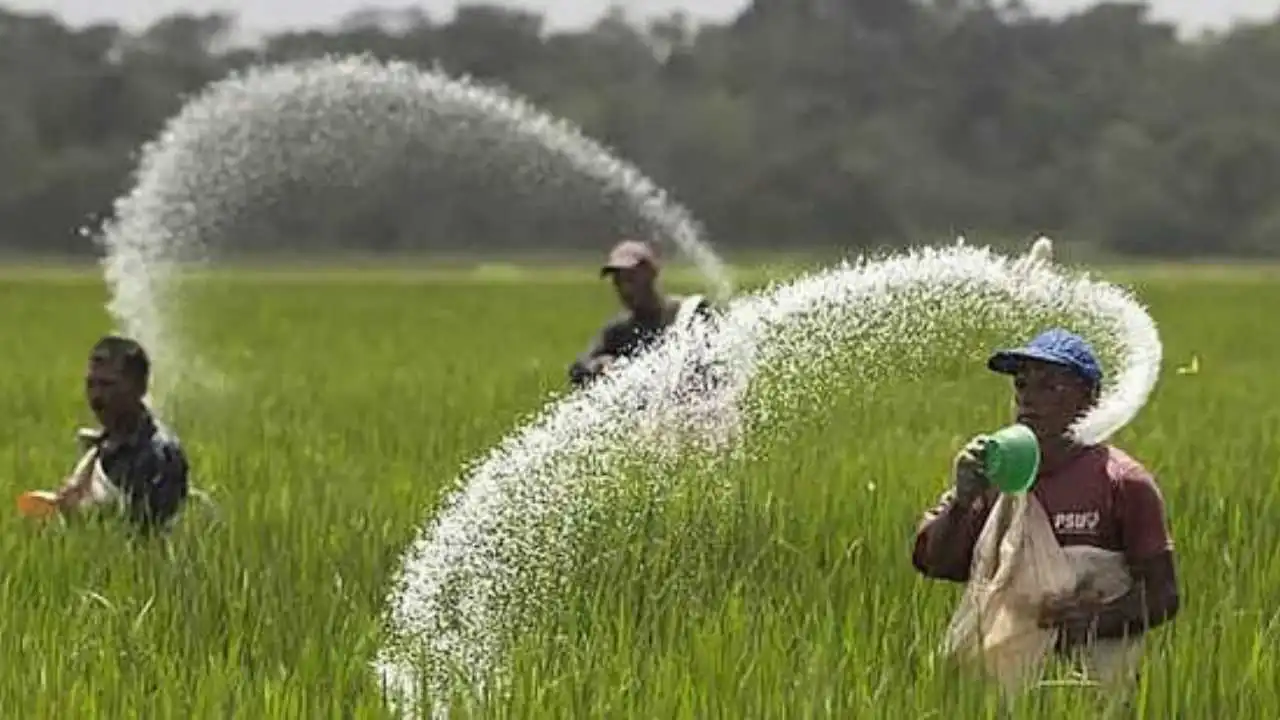 Fertilizer Subsidy