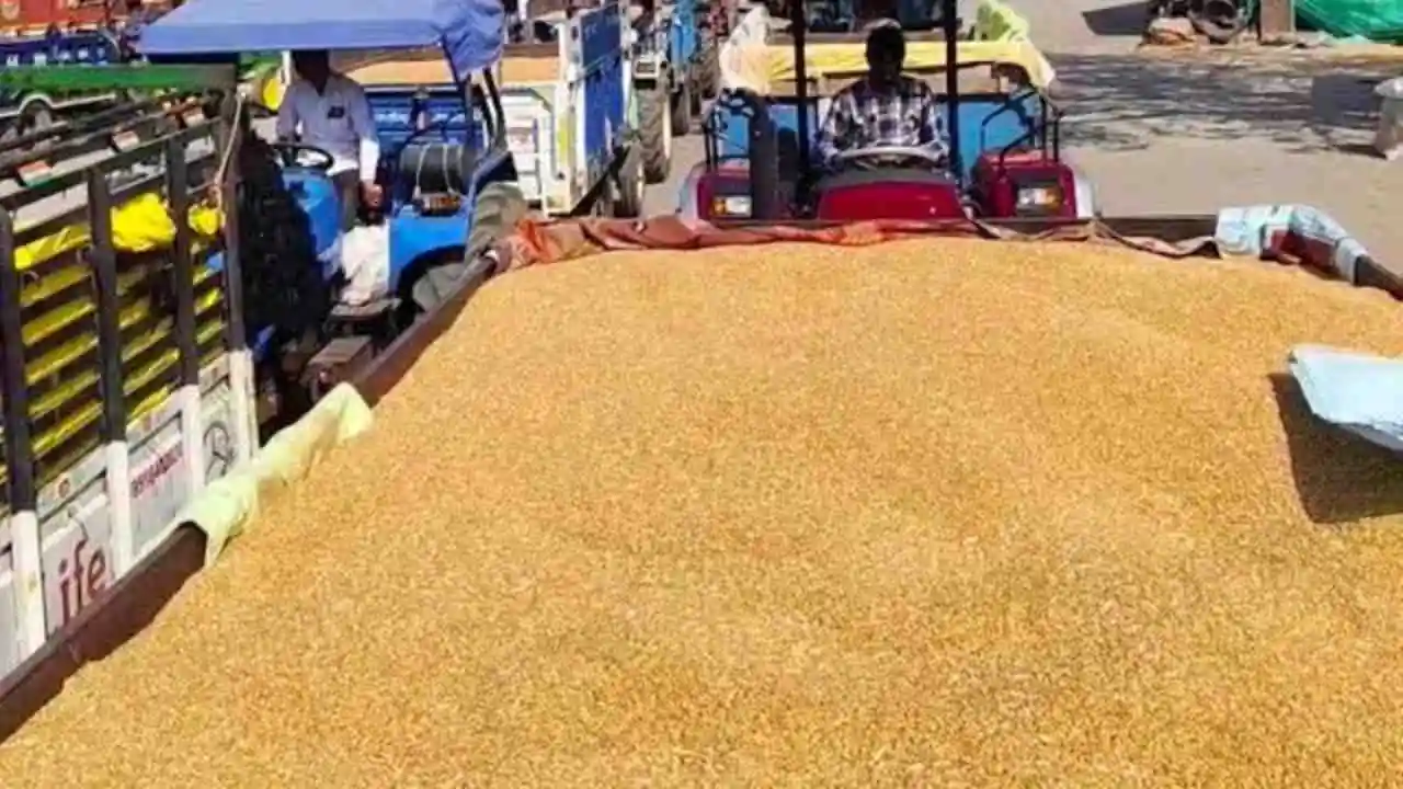Wheat Procurement