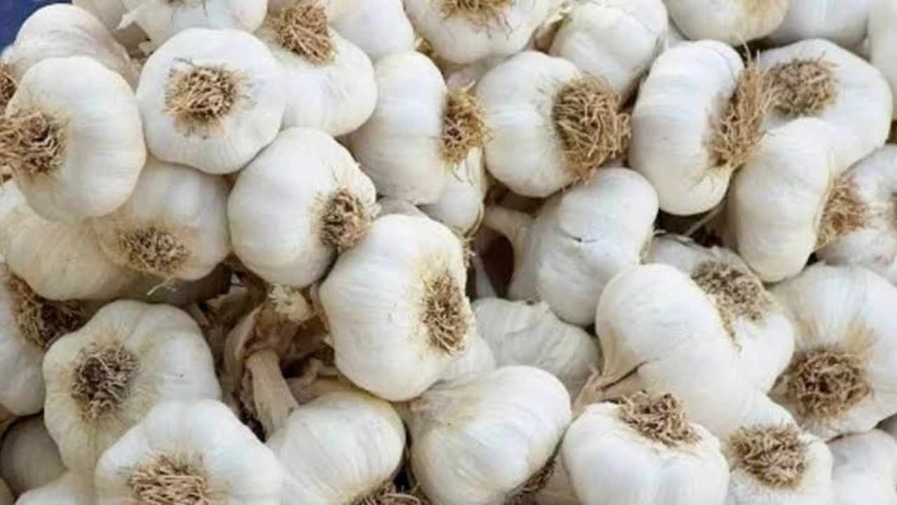 Onion Garlic Rate