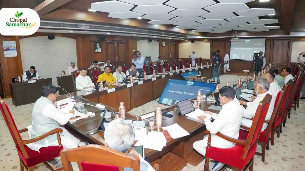 Cabinet Meeting