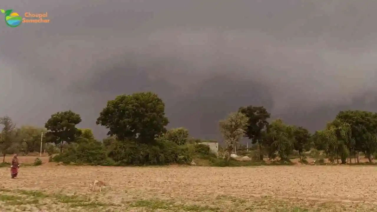 Monsoon 2026 Forecast