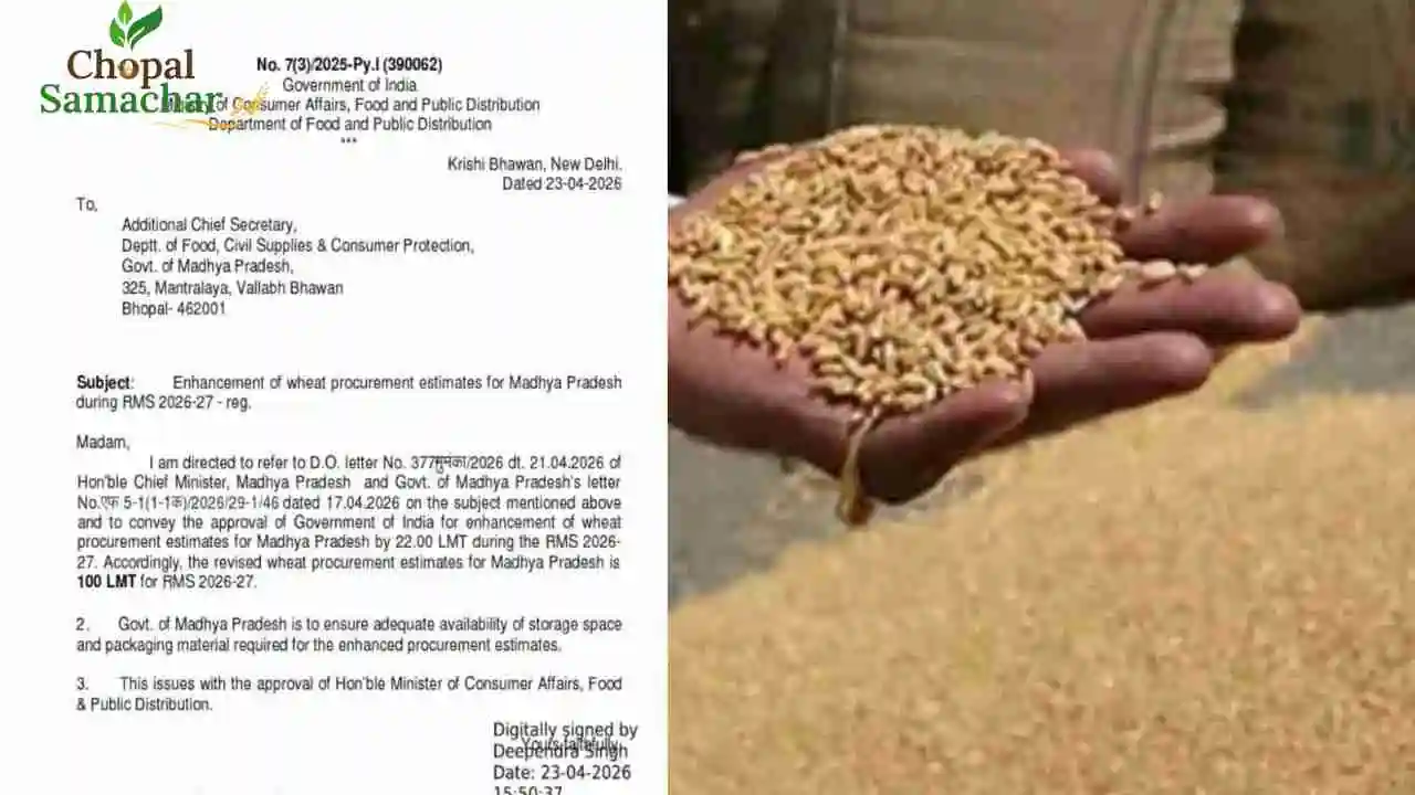 Wheat Procurement