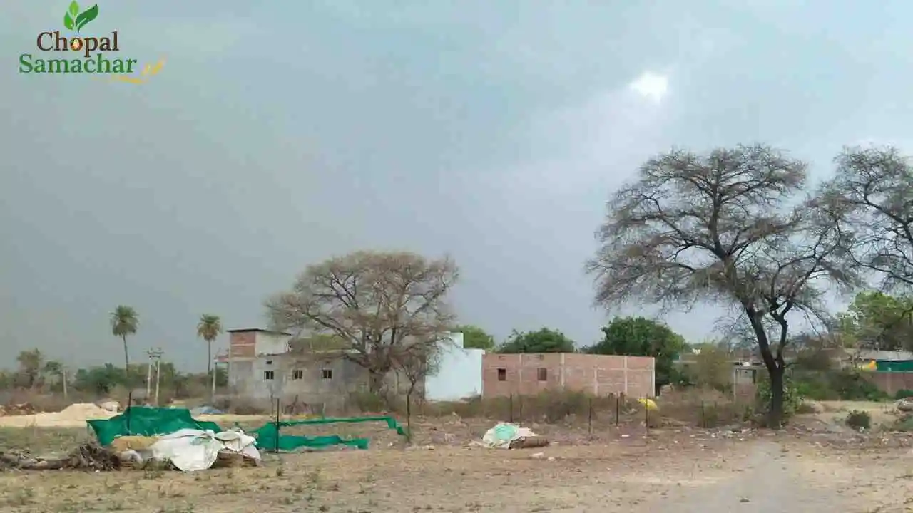 Weather Alert