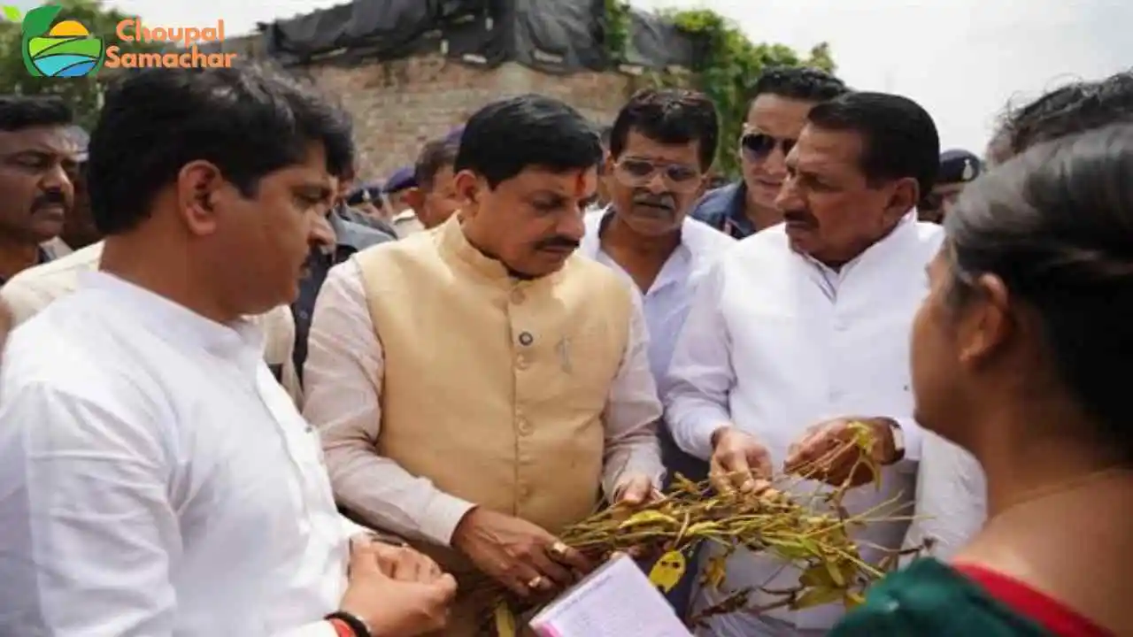 Crop Insurance Scheme