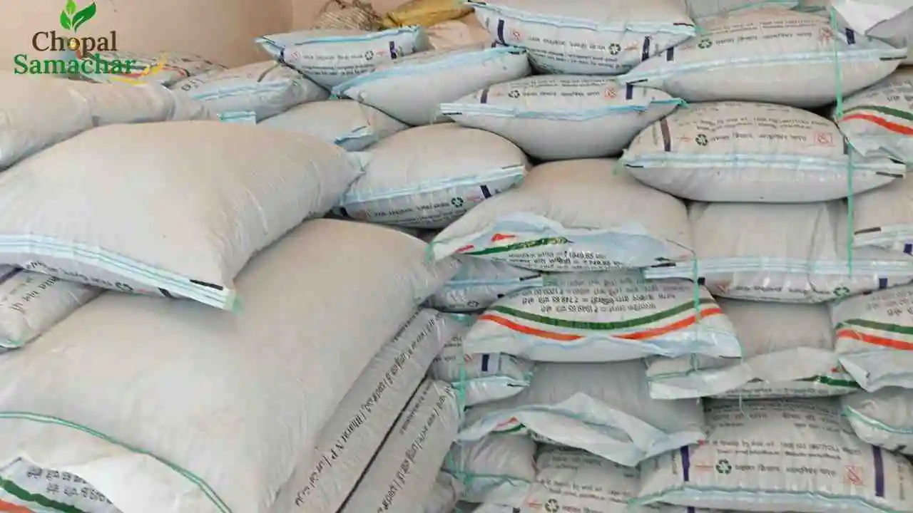 NPK fertilizer New Prices