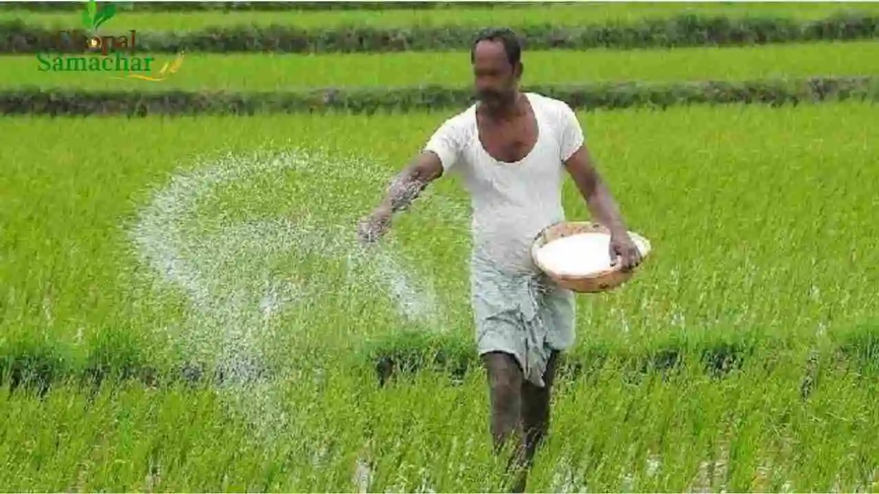 Fertilizer New Rate 2026