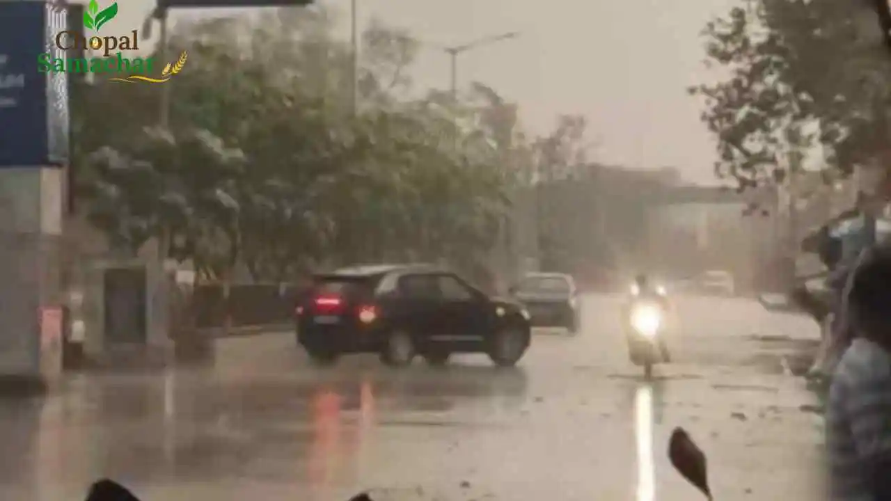 Monsoon Forecast
