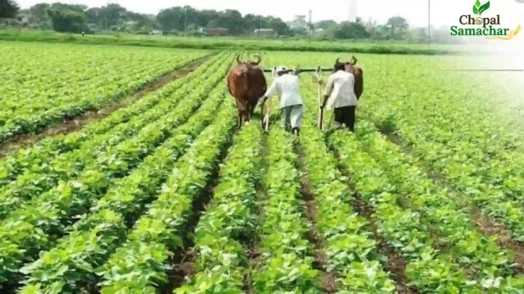 Organic Farming Scheme
