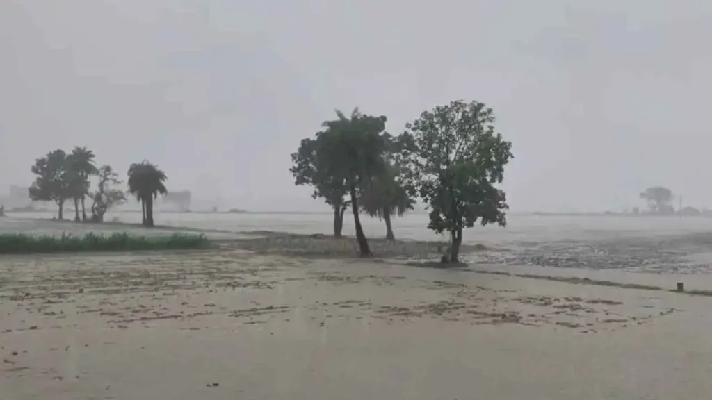 Monsoon Updates