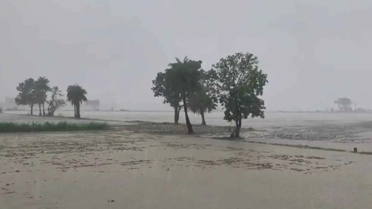 Monsoon Updates