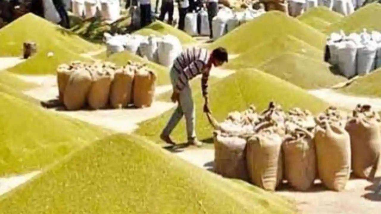 Moong Urad Procurement