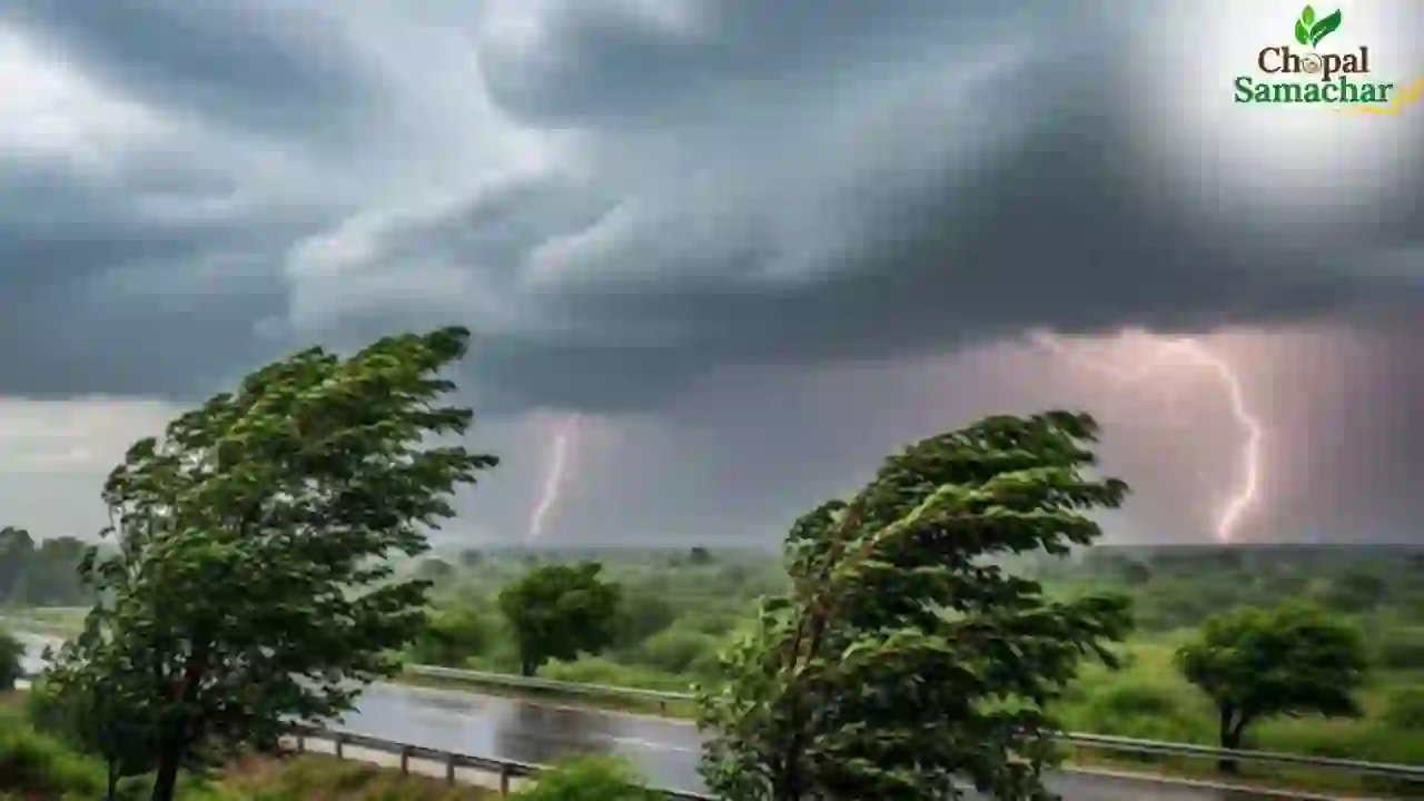 MP Monsoon Update