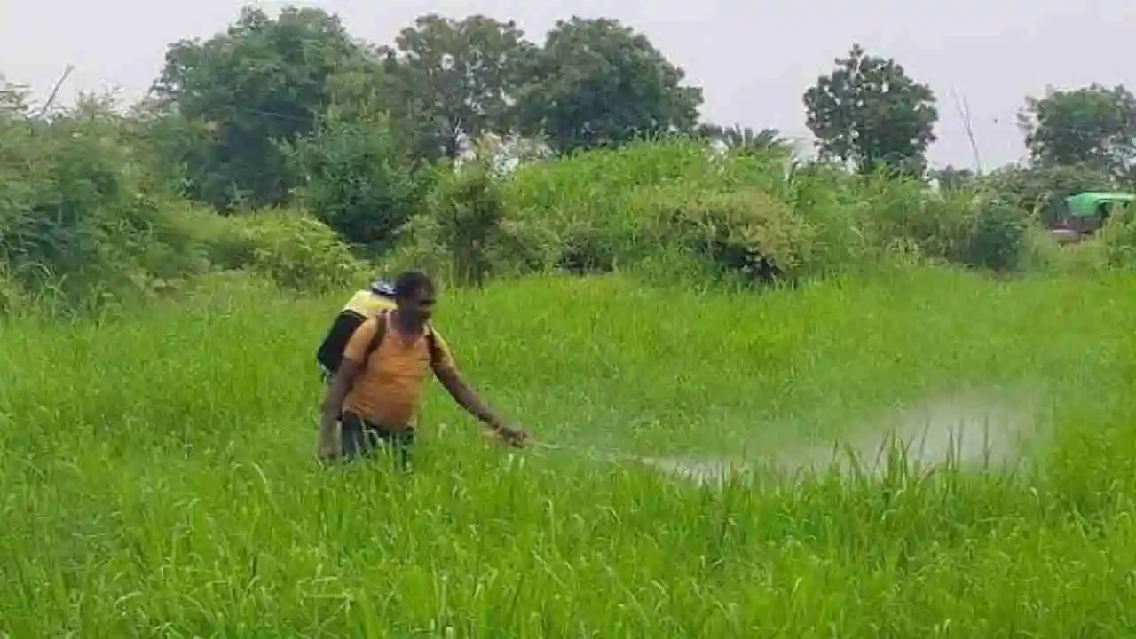 Paraquat Dichloride