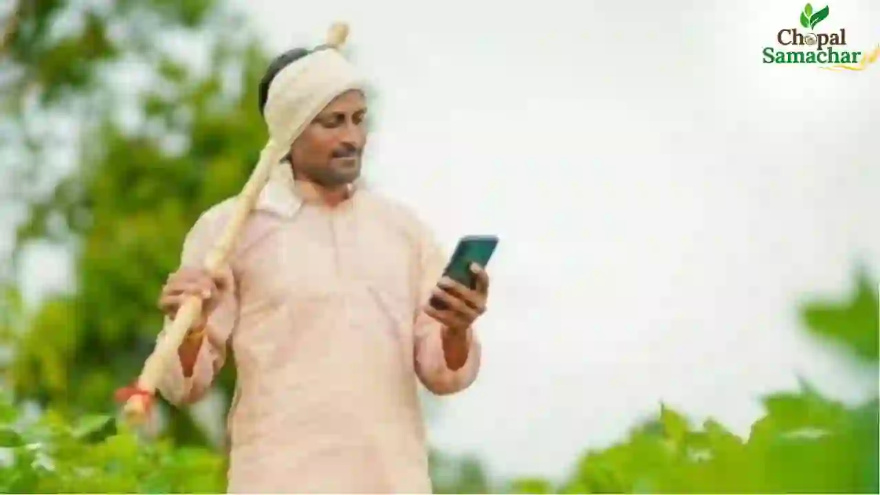 WhatsApp AI Chatbot