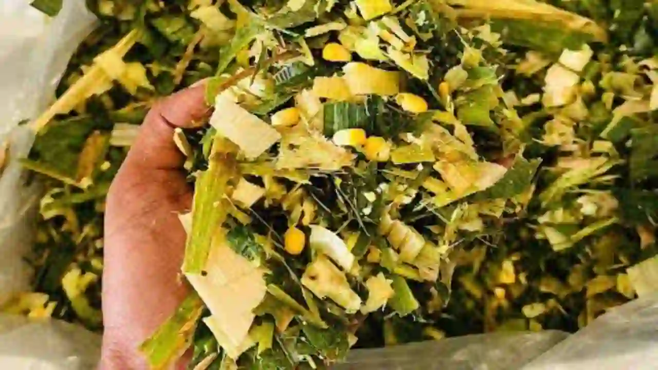Silage Preparing Method