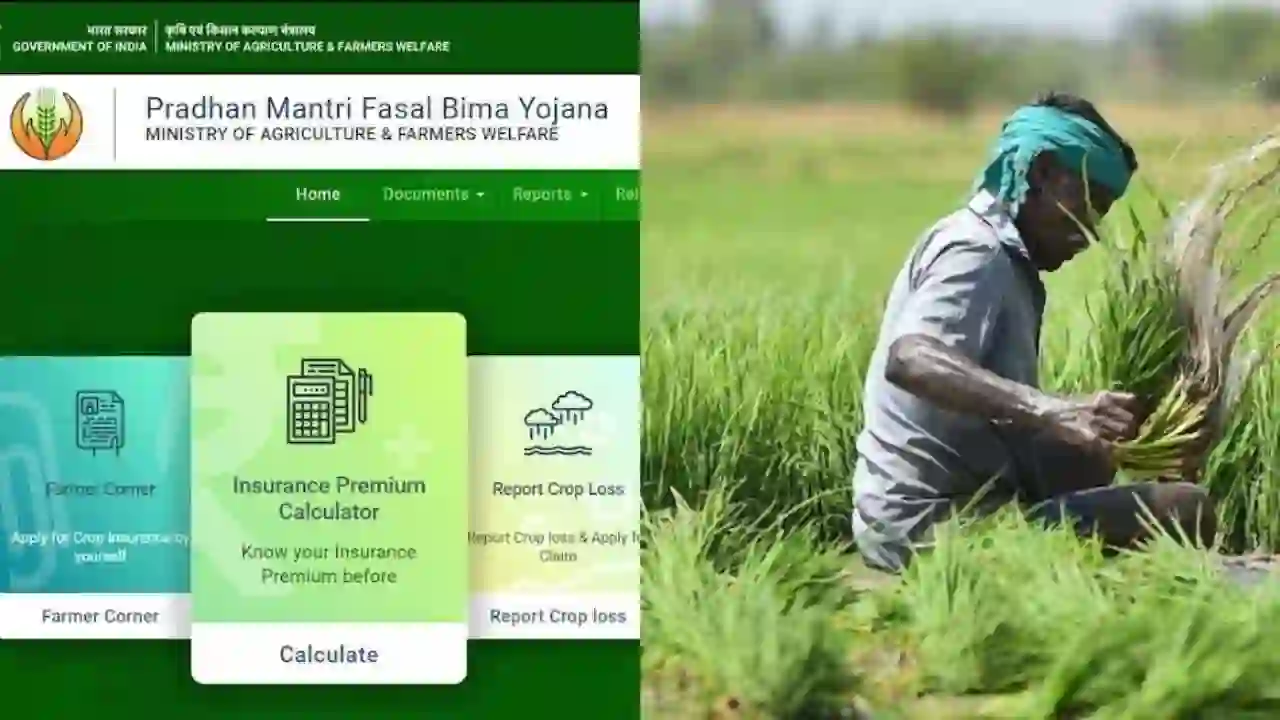 Crop Insurance Scheme