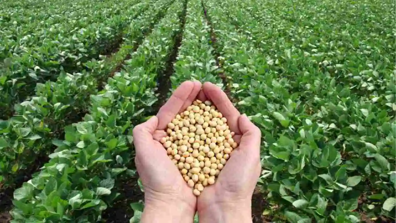 Agricultural Advice