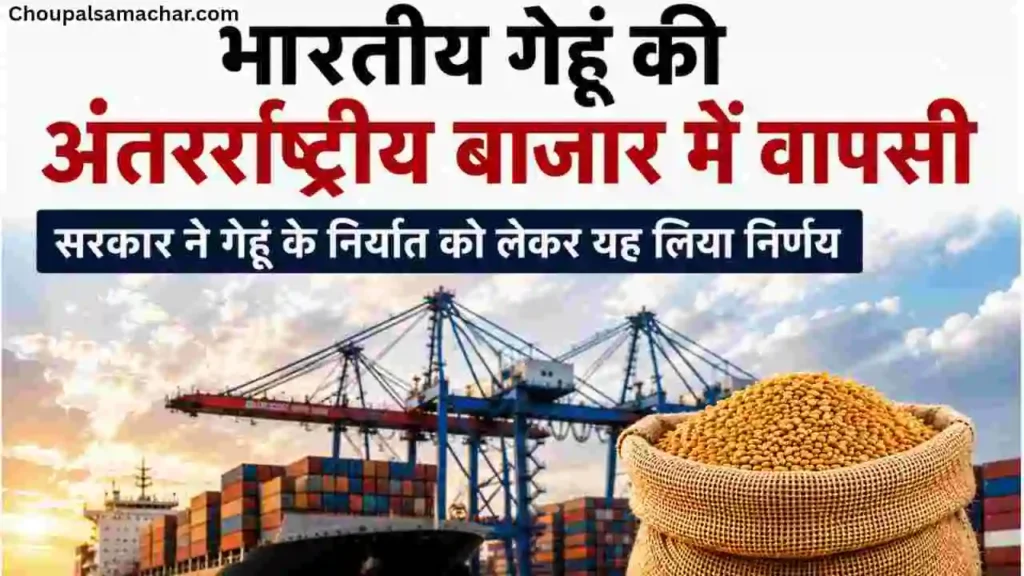Wheat Export