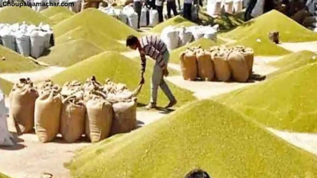 Purchase Mung Beans