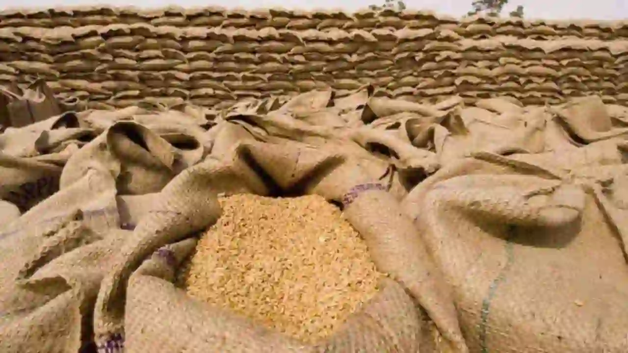 Wheat Export Report