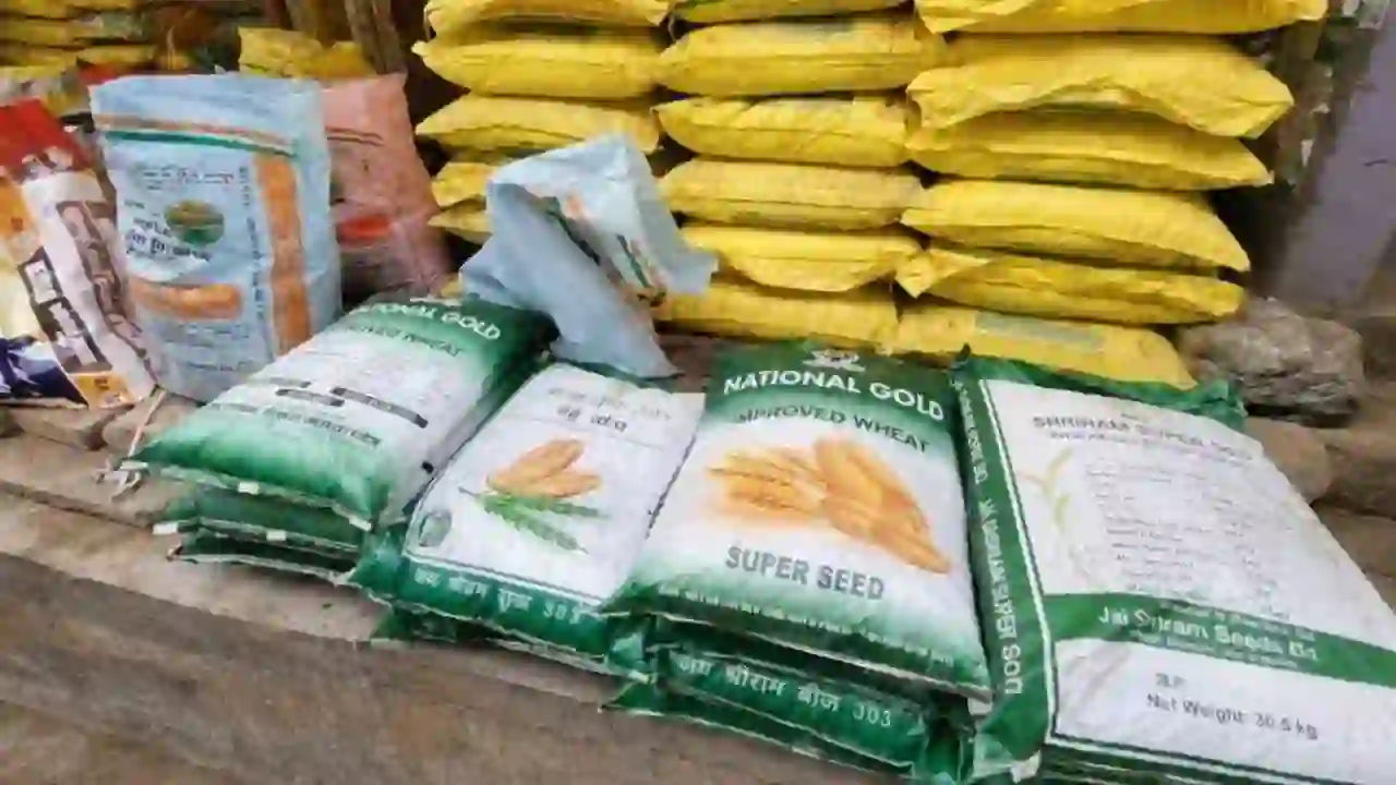 Fertilizer for Rabi Season