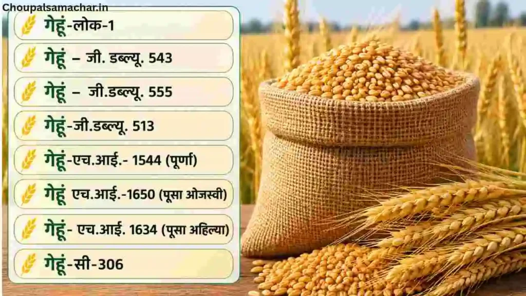 Wheat Variety